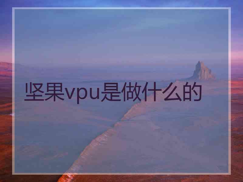 坚果vpu是做什么的