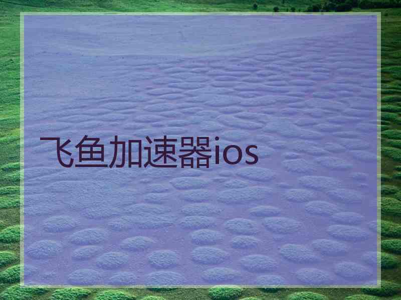 飞鱼加速器ios