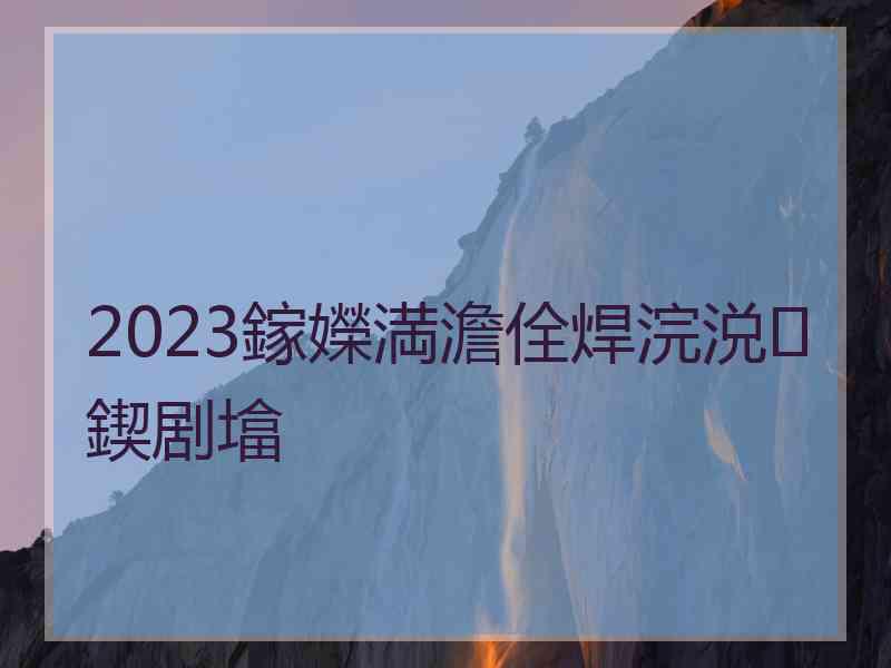 2023鎵嬫満澹佺焊浣涚鍥剧墖