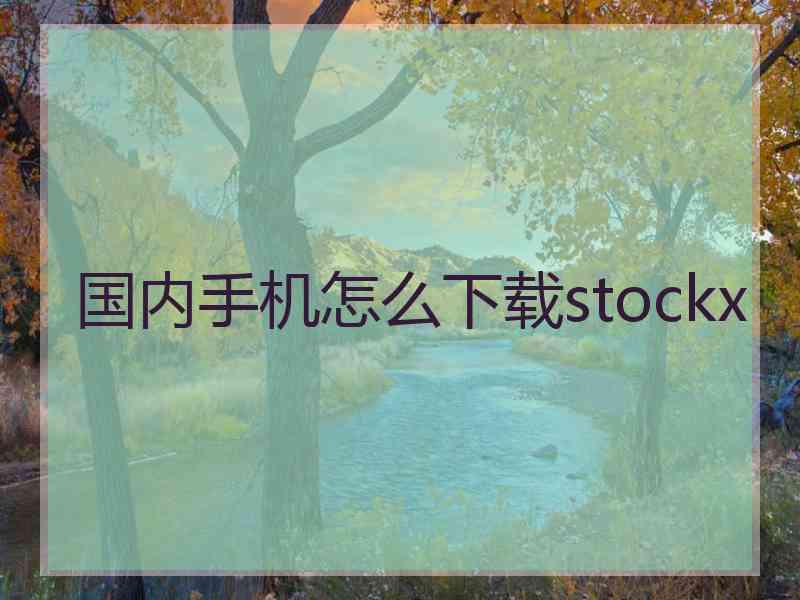 国内手机怎么下载stockx