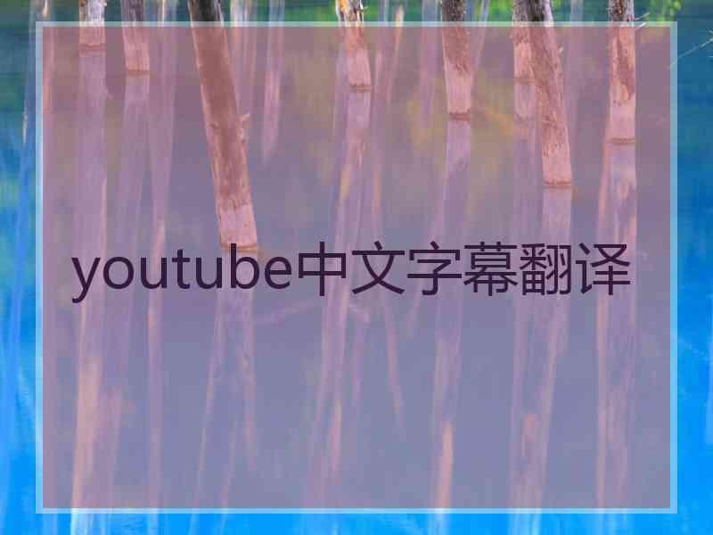 youtube中文字幕翻译