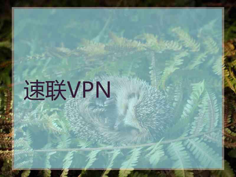 速联VPN