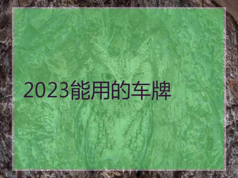 2023能用的车牌