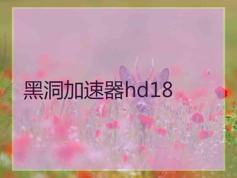 黑洞加速器hd18