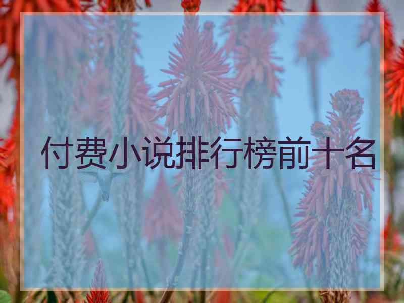 付费小说排行榜前十名