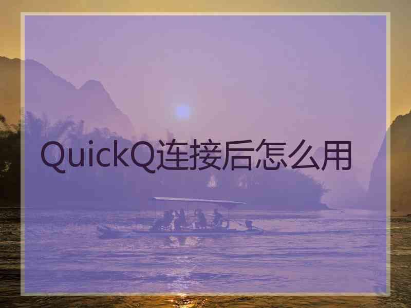 QuickQ连接后怎么用