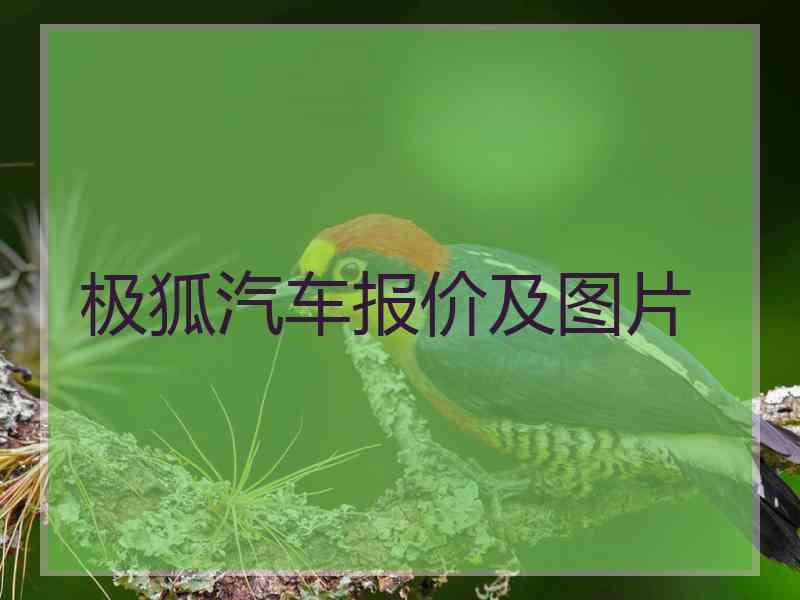 极狐汽车报价及图片