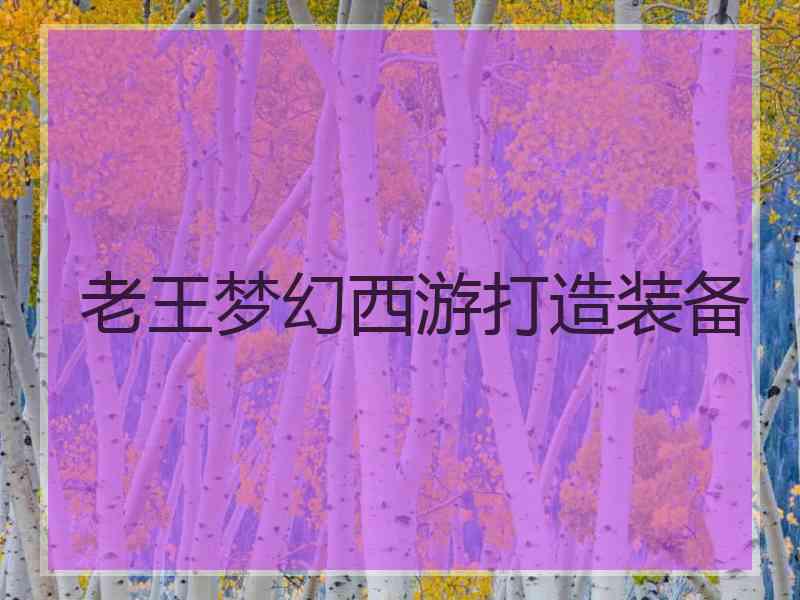 老王梦幻西游打造装备