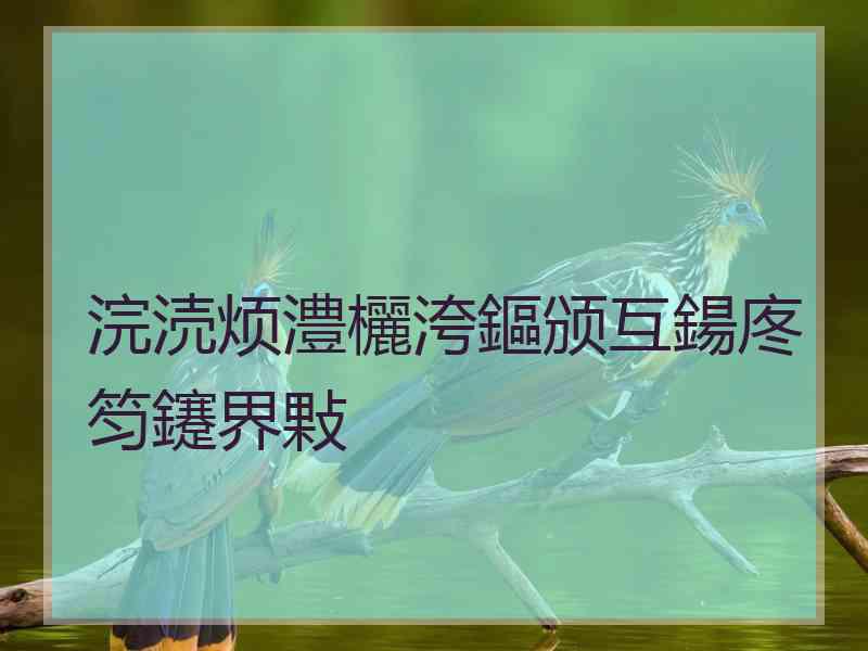 浣涜烦澧欐洿鏂颁互鍚庝笉鑳界敤