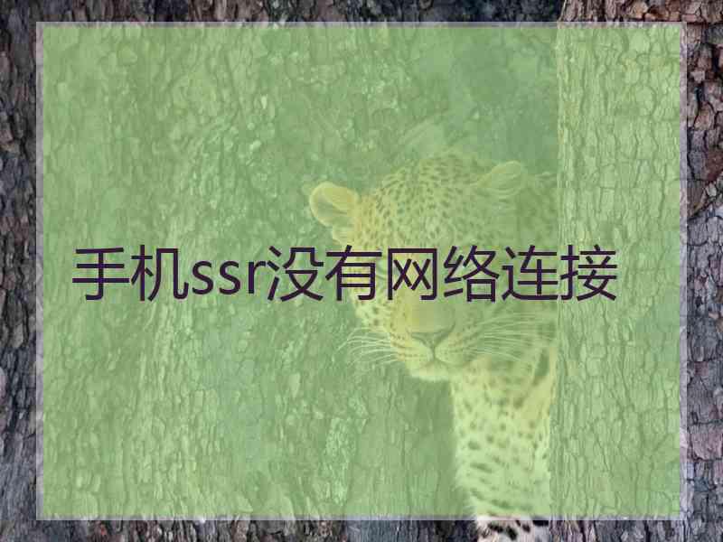 手机ssr没有网络连接