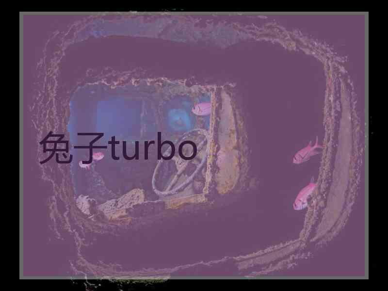 兔子turbo