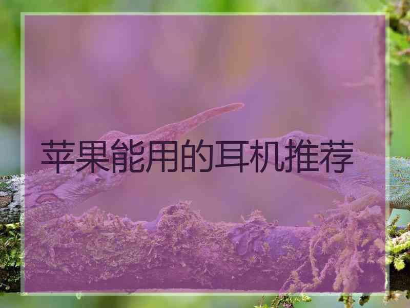 苹果能用的耳机推荐