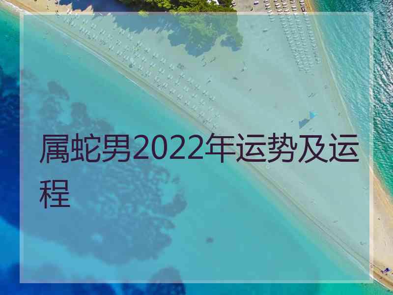 属蛇男2022年运势及运程