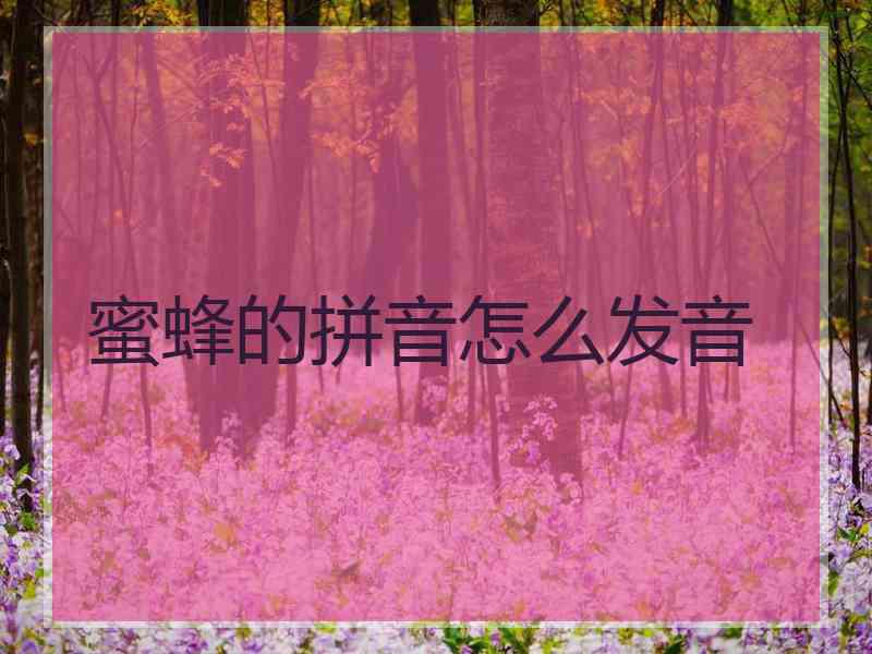 蜜蜂的拼音怎么发音