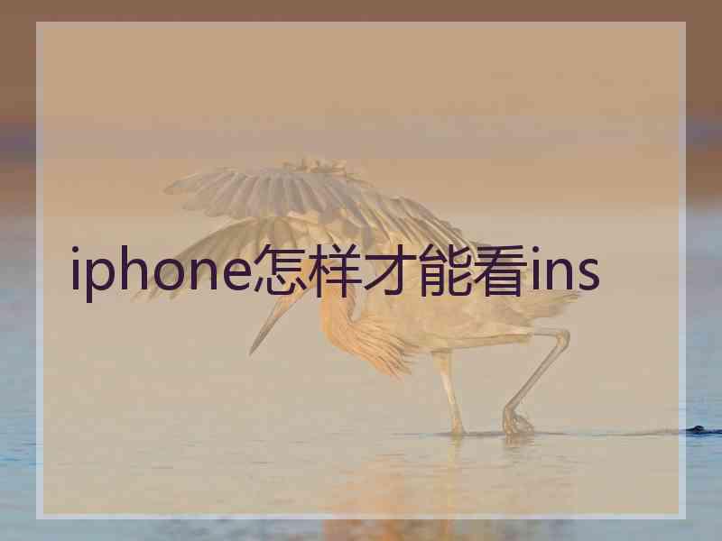 iphone怎样才能看ins