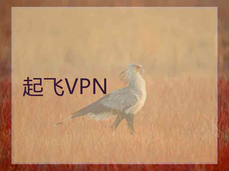 起飞VPN