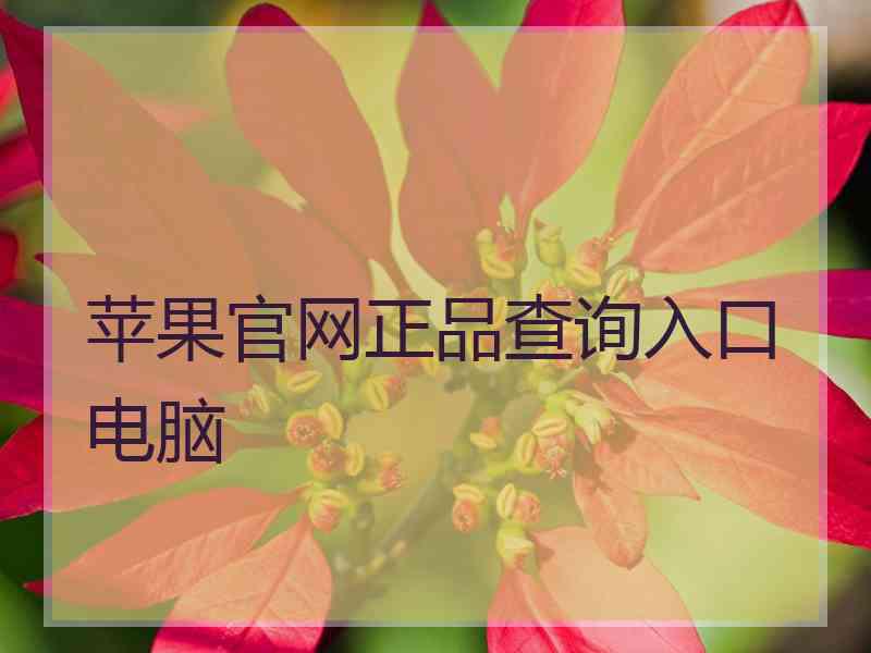 苹果官网正品查询入口电脑