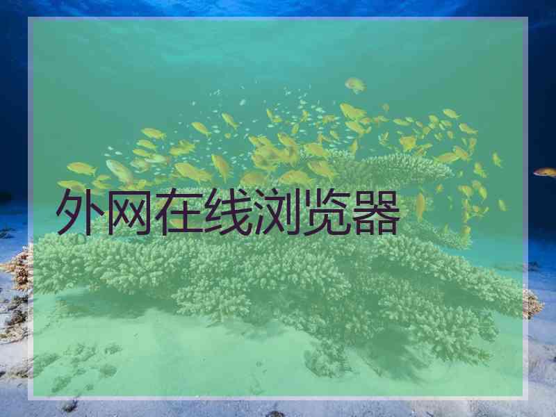 外网在线浏览器