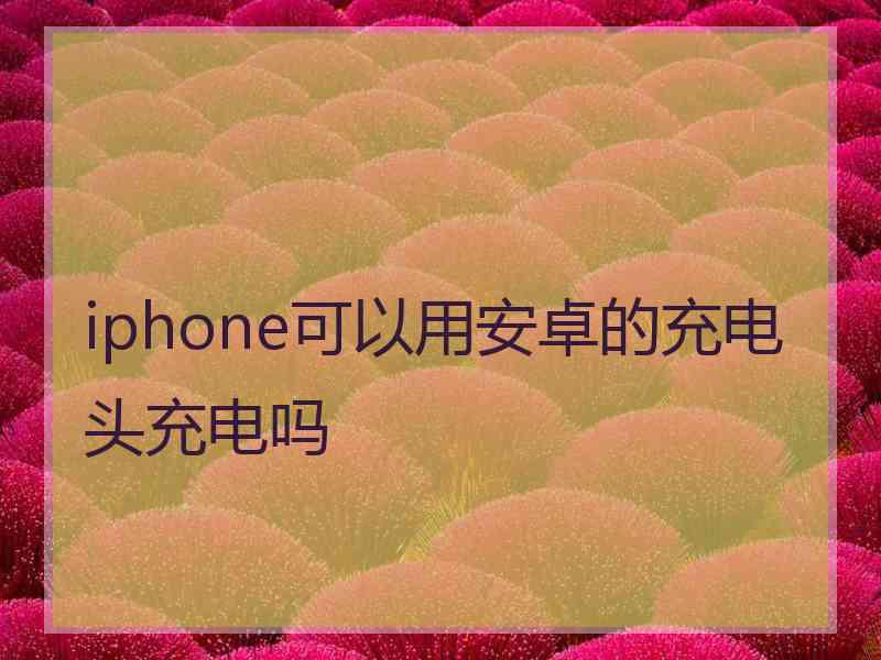 iphone可以用安卓的充电头充电吗