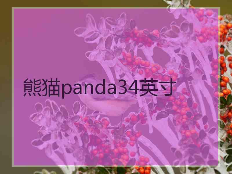 熊猫panda34英寸