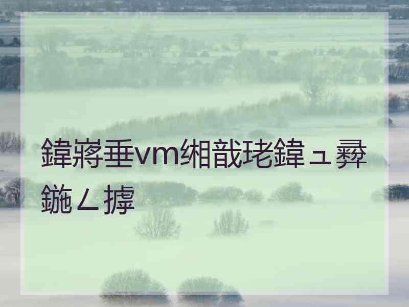 鍏嶈垂vm缃戠珯鍏ュ彛鍦ㄥ摢