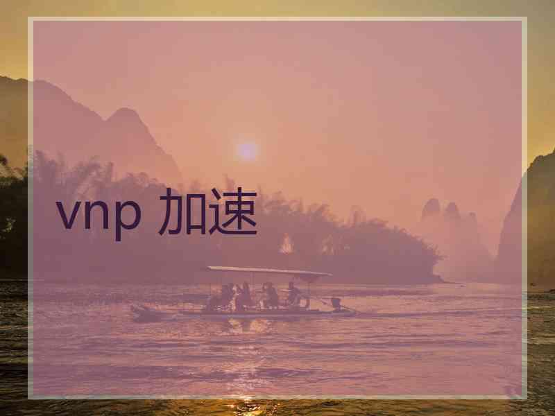 vnp 加速