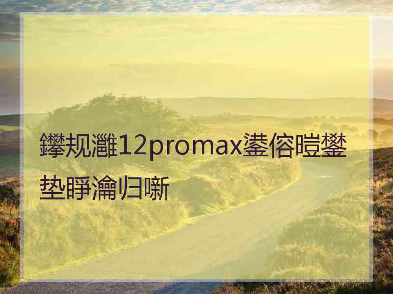 鑻规灉12promax鍙傛暟鐢垫睜瀹归噺