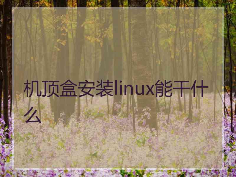 机顶盒安装linux能干什么