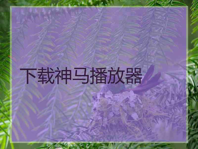 下载神马播放器