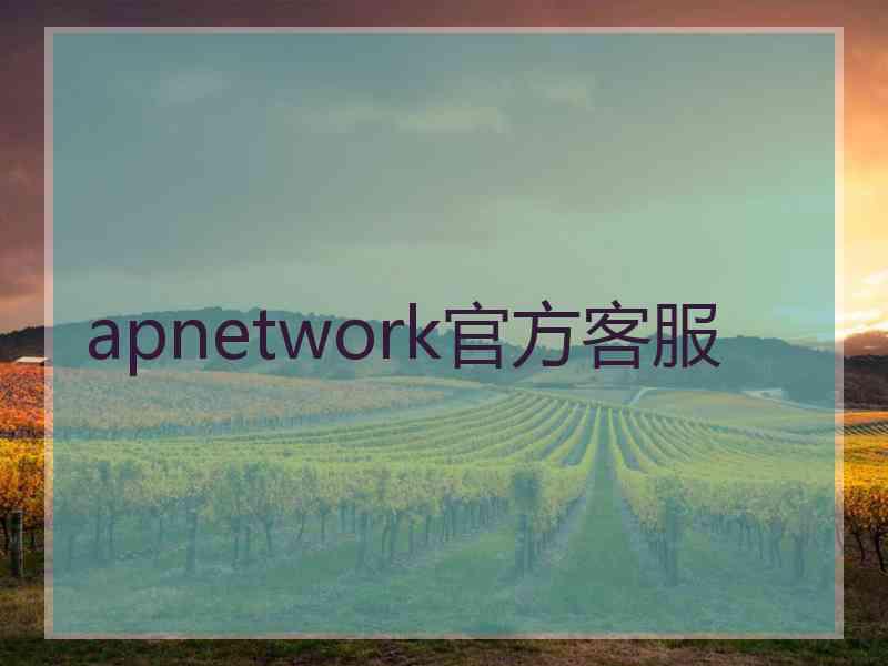 apnetwork官方客服