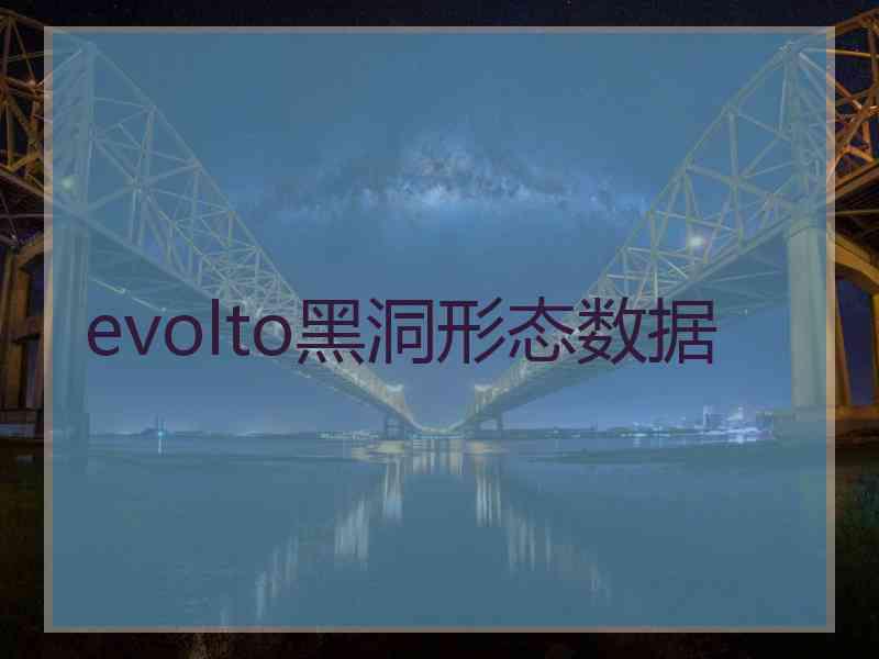 evolto黑洞形态数据