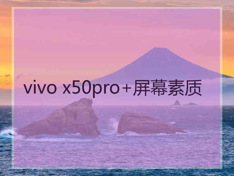 vivo x50pro+屏幕素质