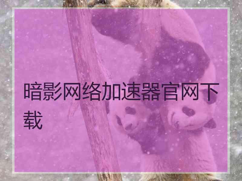 暗影网络加速器官网下载