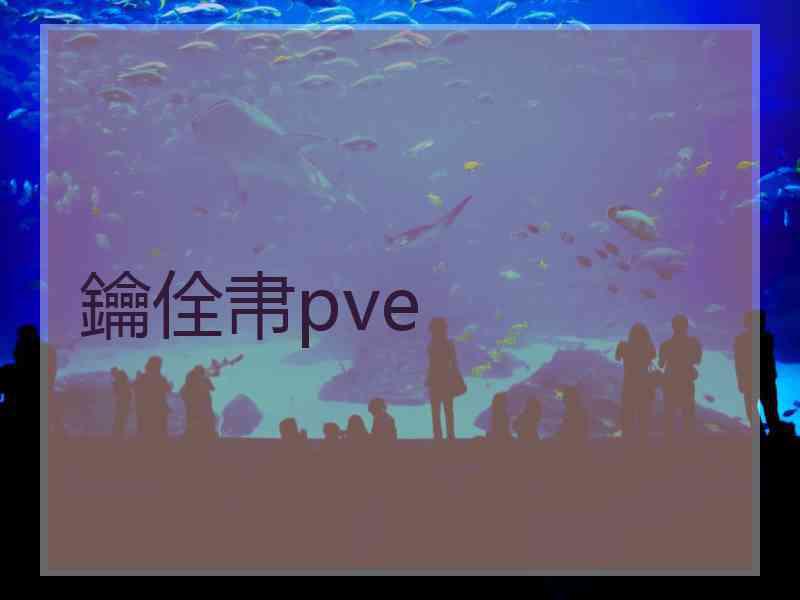 鑰佺帇pve