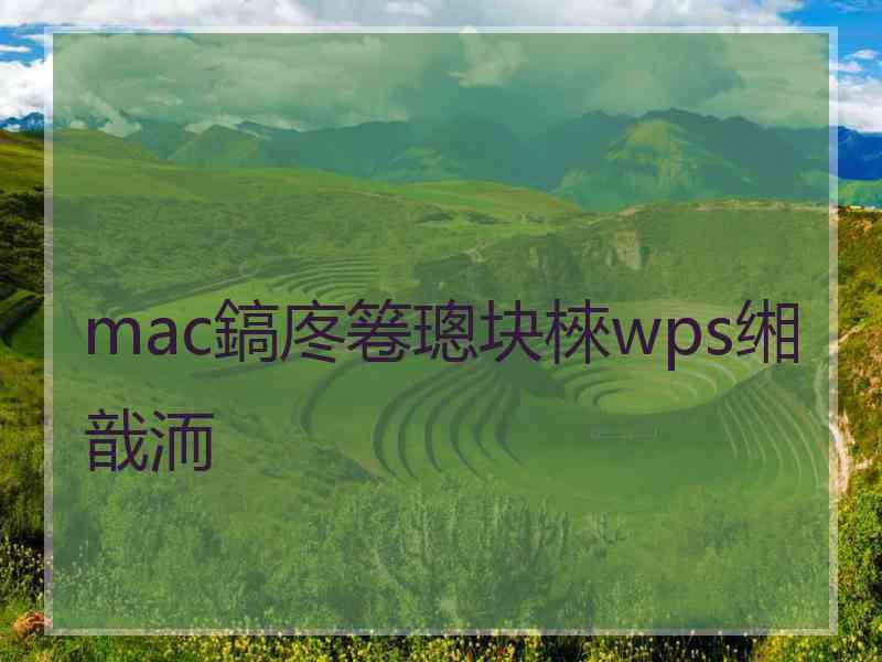 mac鎬庝箞璁块棶wps缃戠洏