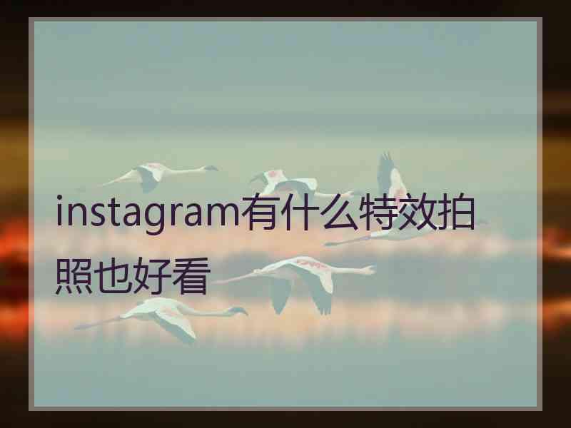 instagram有什么特效拍照也好看