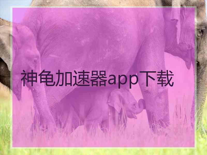 神龟加速器app下载