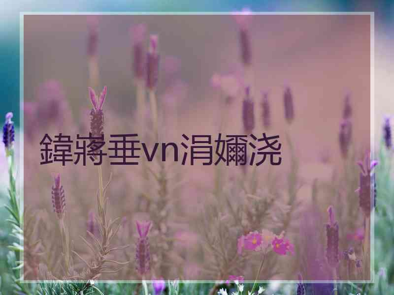 鍏嶈垂vn涓嬭浇