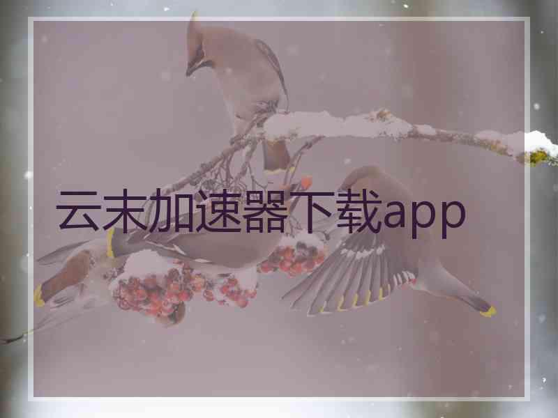 云末加速器下载app