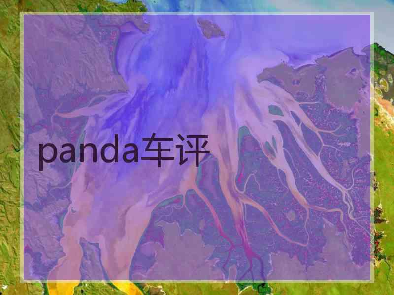 panda车评