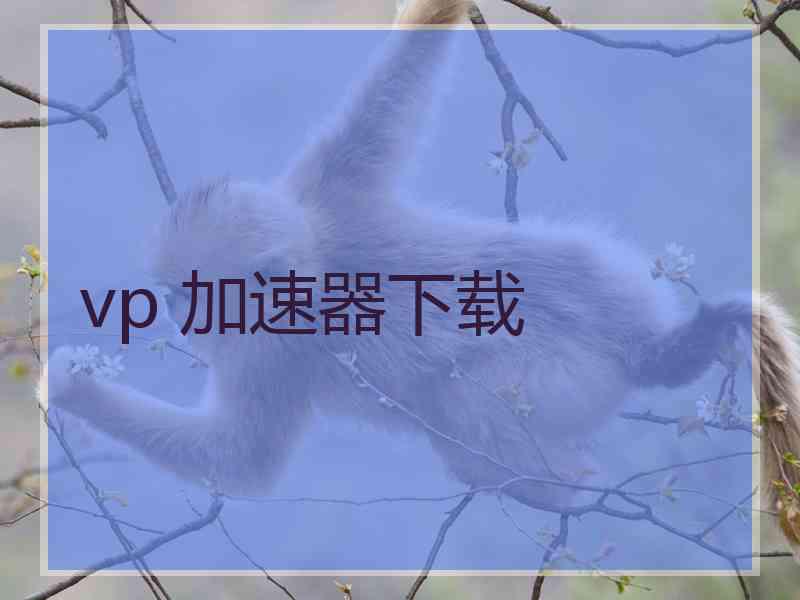 vp 加速器下载