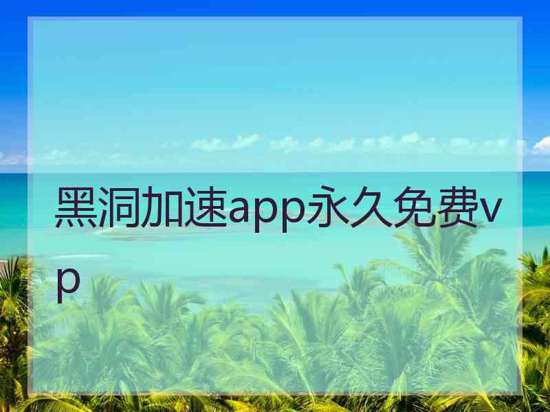 黑洞加速app永久免费vp