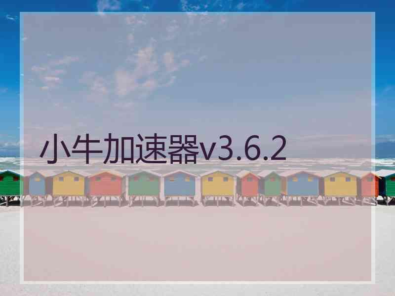 小牛加速器v3.6.2