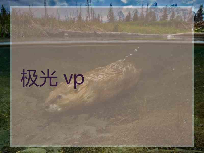 极光 vp