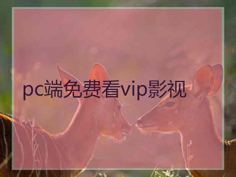 pc端免费看vip影视