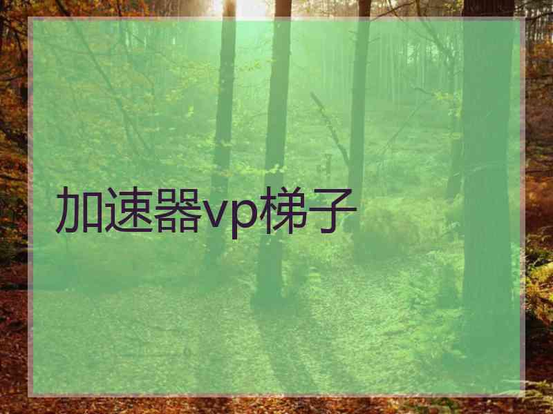 加速器vp梯子