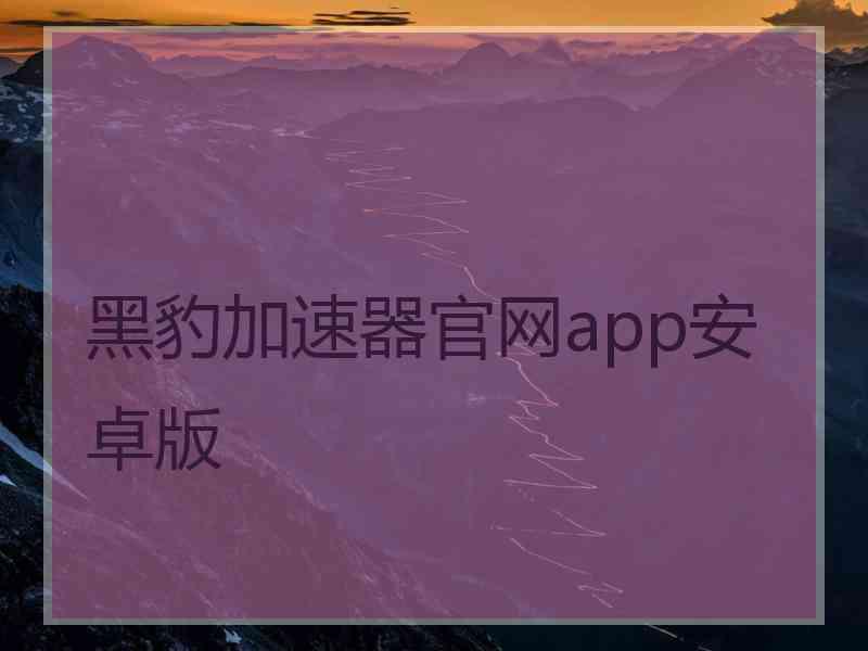 黑豹加速器官网app安卓版