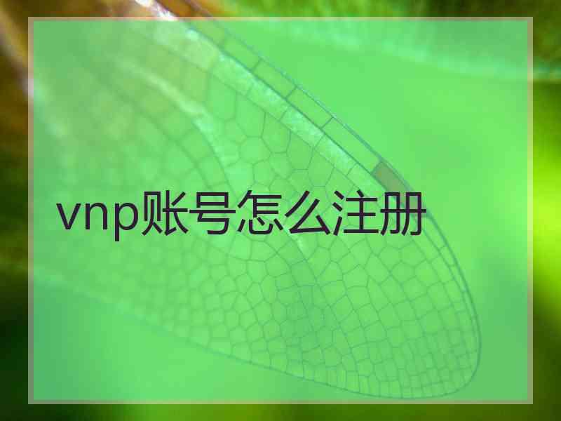 vnp账号怎么注册