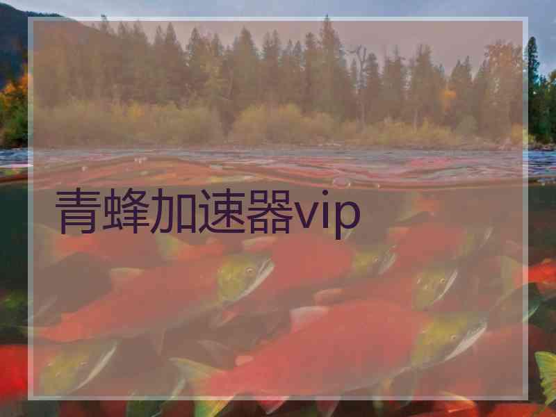 青蜂加速器vip