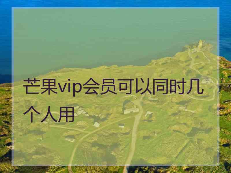 芒果vip会员可以同时几个人用